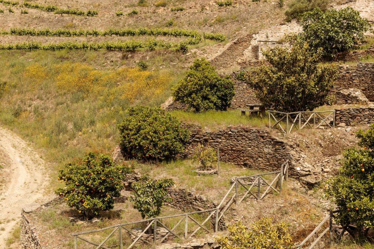 Quinta Nova Winery House - Relais & Chateaux ปินเญา ภายนอก รูปภาพ