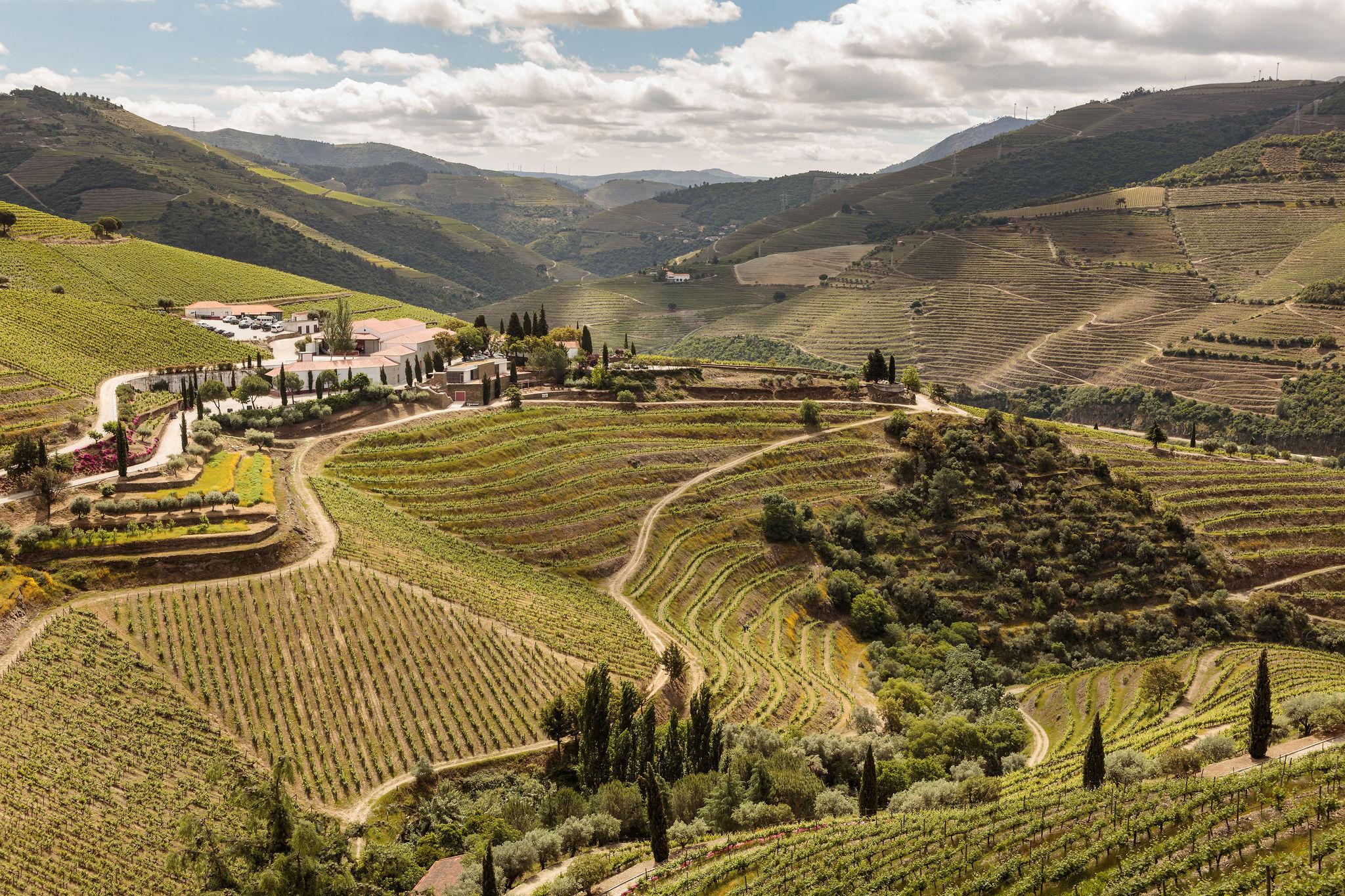 Quinta Nova Winery House - Relais & Chateaux ปินเญา ภายนอก รูปภาพ